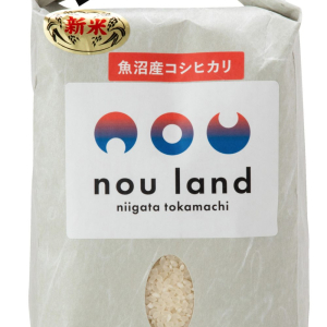 アウトレット米