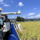 2023 稲刈り 1日目