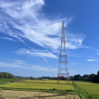 2023 稲刈り 4日目