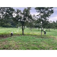皆で楽しく栗拾い♪