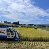 2023 稲刈り 24日目