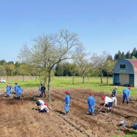 じゃがいもシーズンスタート😎