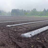 かぼちゃも始まりました😙