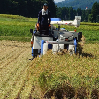 2024シーズン 稲刈りスタート🌾🎉