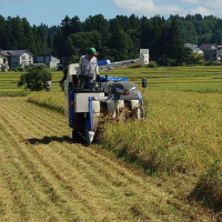 2024シーズン、稲刈り、栗園終了致しました!🎉